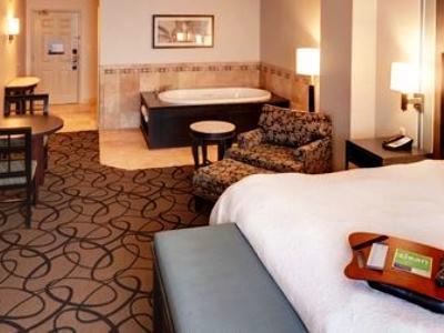 Hotel Hampton & Buffalo/downtown Buffalo
